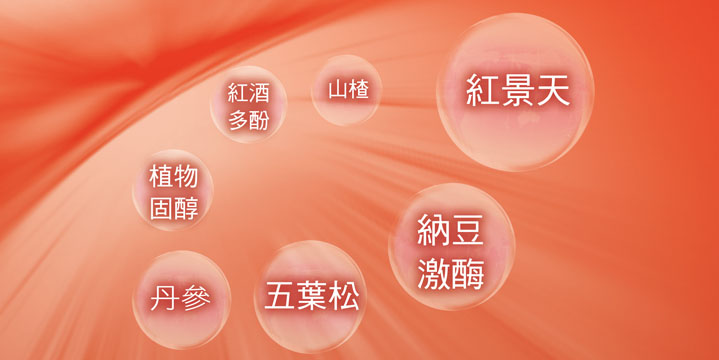 萬大酵素全效紅景天1.jpg