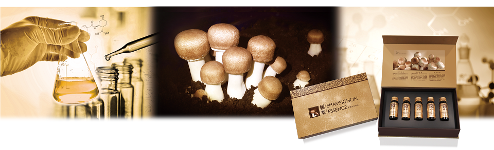 樂活生技極萃香檳茸滋養液Shampignon Essence(15入)1.png