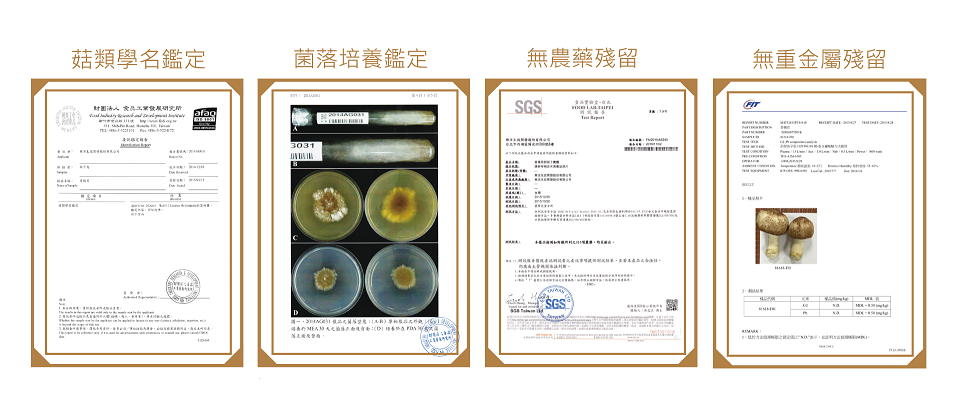 樂活生技極萃香檳茸滋養液Shampignon Essence(15入)2.png