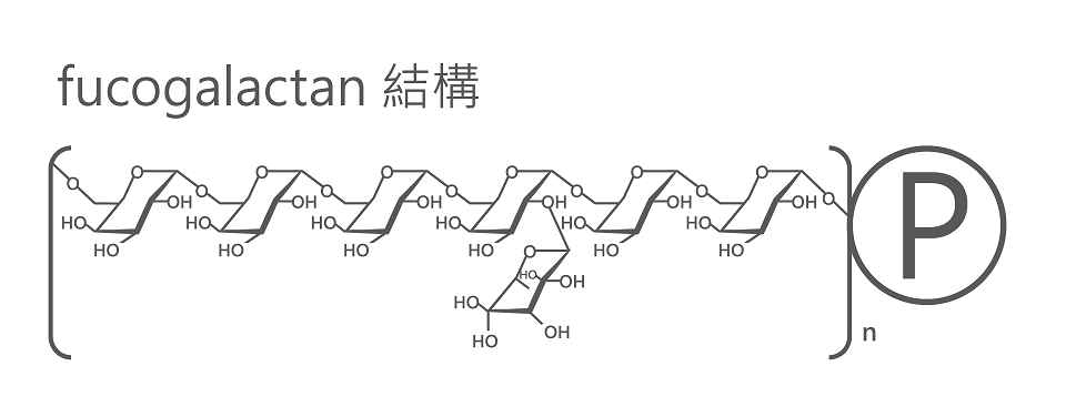 樂活生技極萃香檳茸滋養液Shampignon Essence(15入)3.png