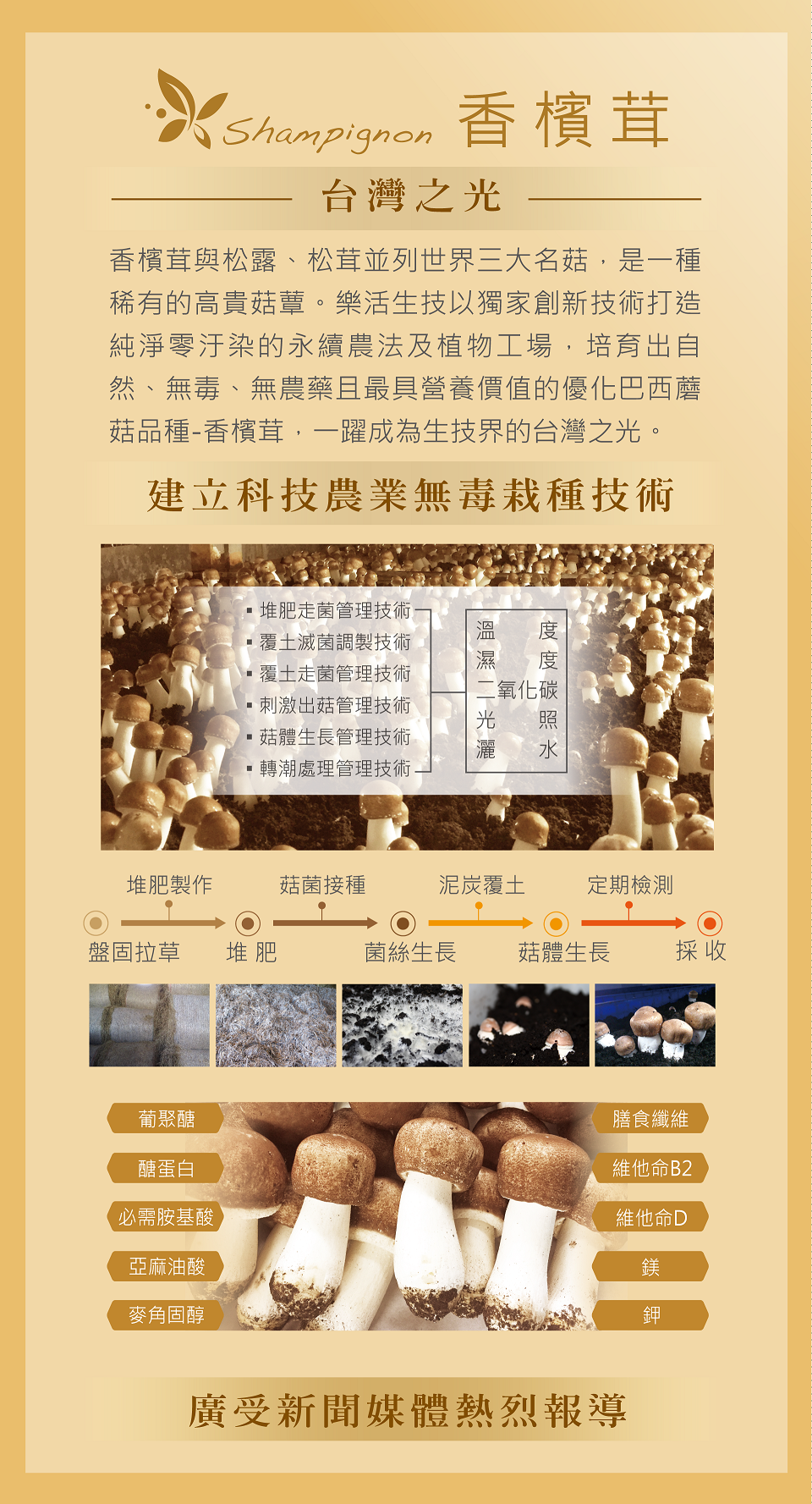 樂活生技極萃香檳茸滋養液Shampignon Essence(15入)5.png